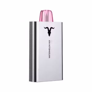 Ignite Vape